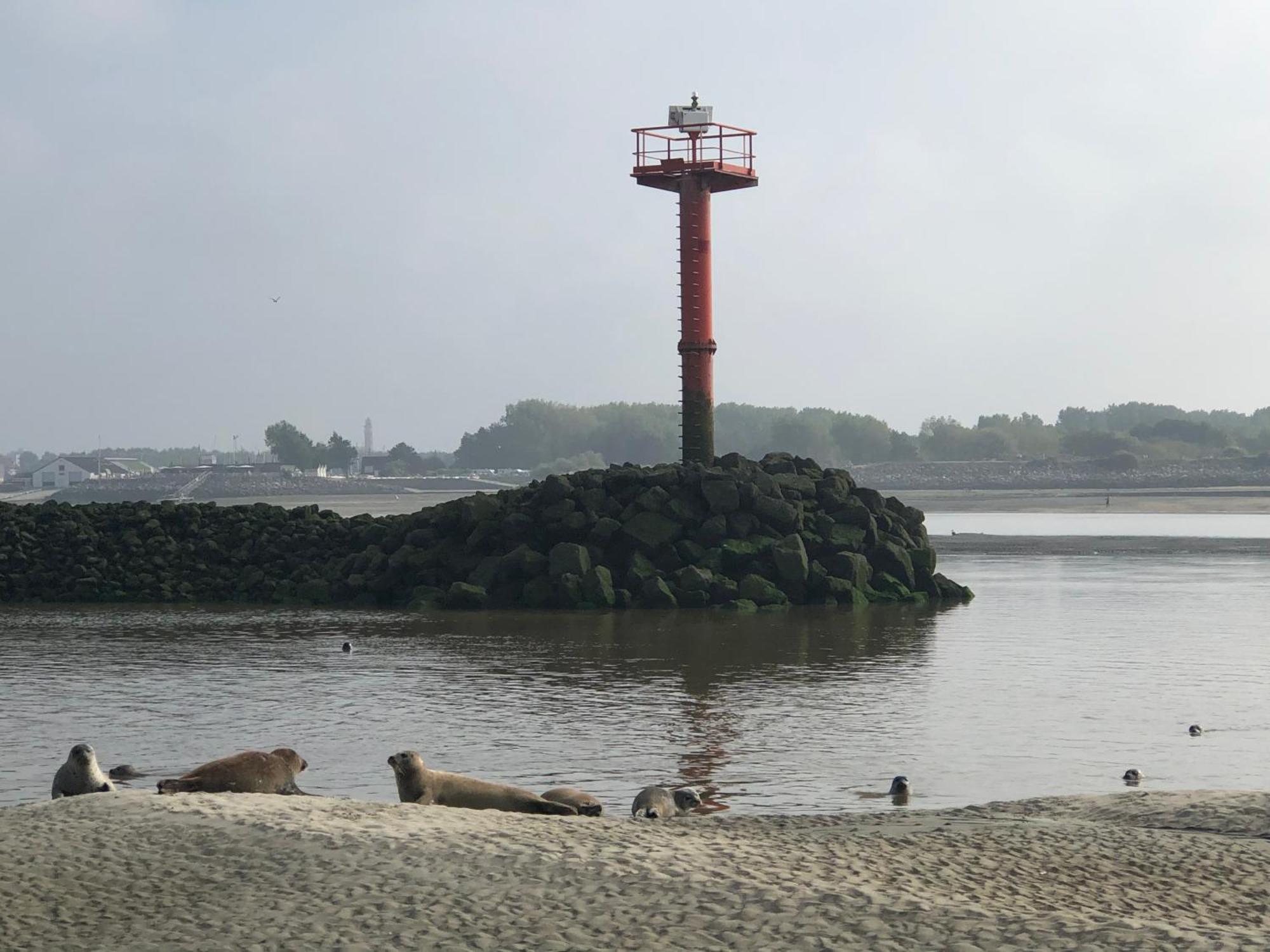 L'Escapade - Hardelot Plage - Parking Prive Neufchâtel-Hardelot Eksteriør bilde